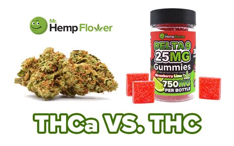 THCa vs. THC: Differences, Chemical Structure, and Benefits