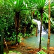 Suva: Fijian Nature and Waterfall Tour | GetYourGuide