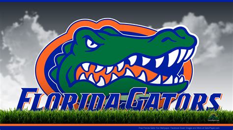 Florida gators, Florida gators wallpaper, Florida gators football