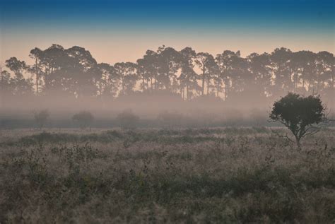 My coastal fog Coastal Fog, Walking, Mountains, Natural Landmarks, Nature, Photography, Travel ...