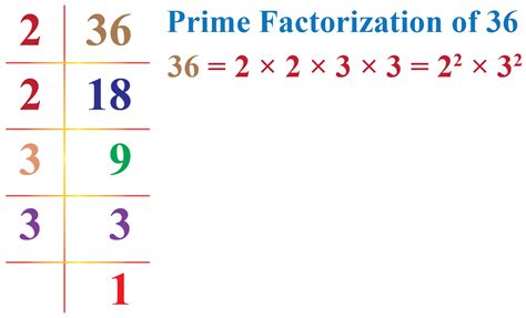 Prime Factorization Worksheet Pdf – Englishworksheet.my.id