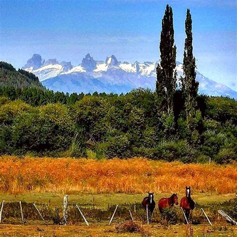 LANDSCAPES OF ARGENTINA • * •. ☆ • - 81 pieces - Play Jigsaw Puzzle for free at Puzzle Factory