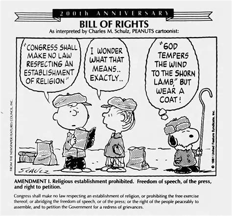 10th Amendment Political Cartoon