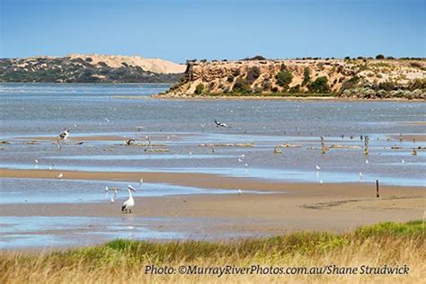 Coorong National Park, South Australia's Coorong Country