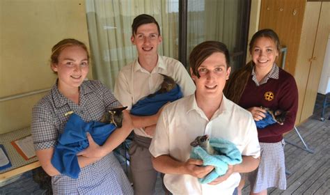 Mandurah Catholic College students help local wildlife | Mandurah Mail ...