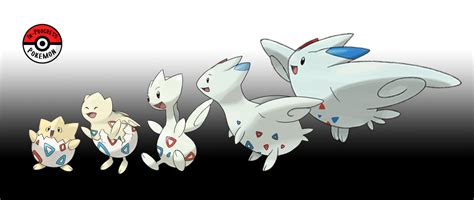 In-Progress Pokemon Evolutions | #175.5 - As Togepi grow, their shell gradually...