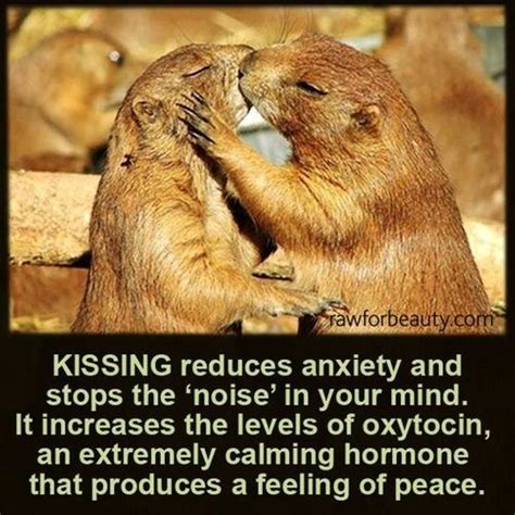 The Health Benefits Of Kissing Pictures, Photos, and Images for Facebook, Tumblr, Pinterest, and ...