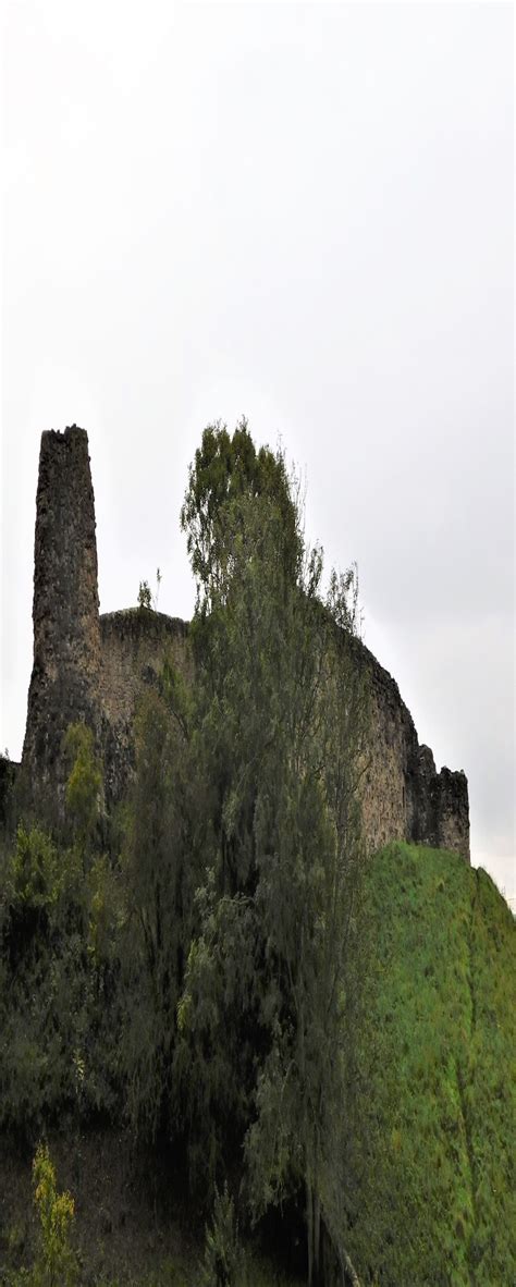 Berwick Castle | castle-finders.co.uk