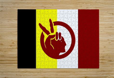 American Indian Movement Flag by Fun With Flags Wall Art