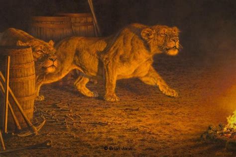 Brian Jarvi Artwork "Man-Eaters of Tsavo" - African Main less Lions Brian Jarvi Limited Edition ...