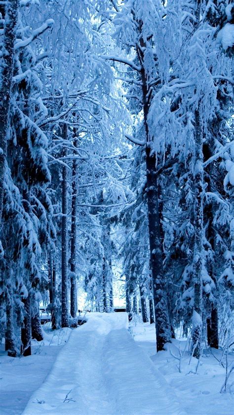 Snow Forest Blue Ice | Android Wallpapers | Snowfall wallpaper, Winter ...