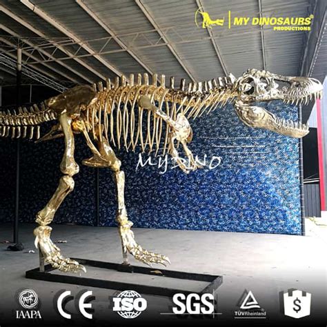 Natural History Museum Themed Gold Dinosaur Skeleton Window Display