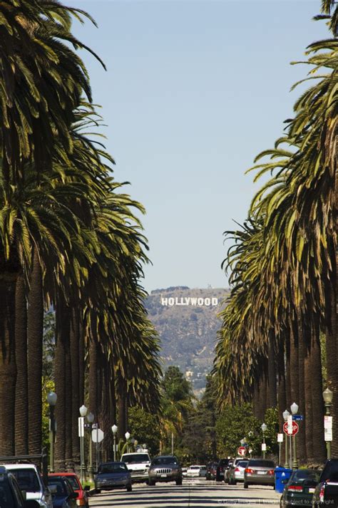 Sunset Boulevard Hollywood Sign - Boulevard and Cemetery