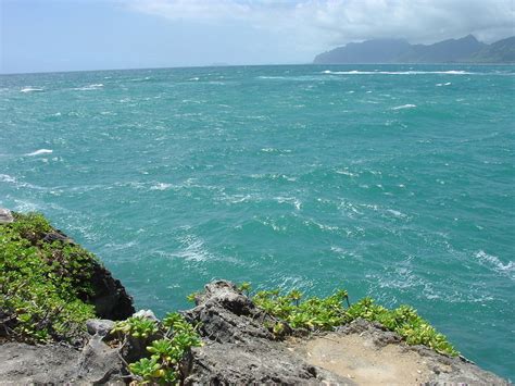 Laie, HI photo, picture, image (Hawaii) at city-data.com