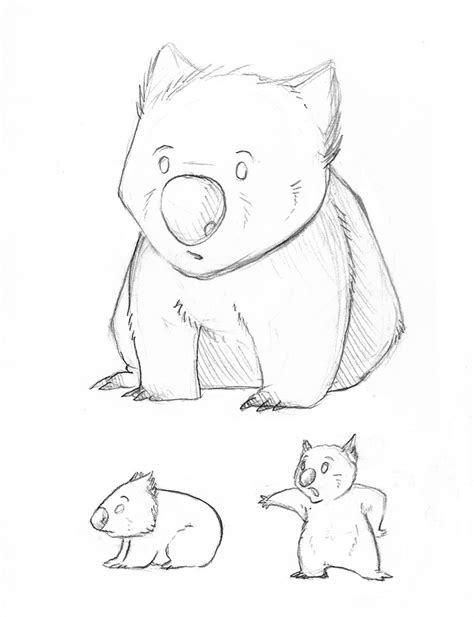 Wombat by Kata on DeviantArt