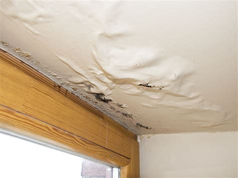 How To Repair A Drywall Ceiling Leak | Shelly Lighting