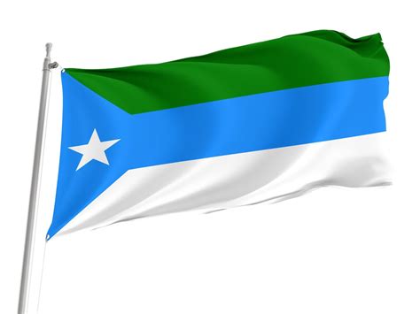 Flag of Jubaland, Somalia, Unique Design Print, Double Sided Large Flag ...