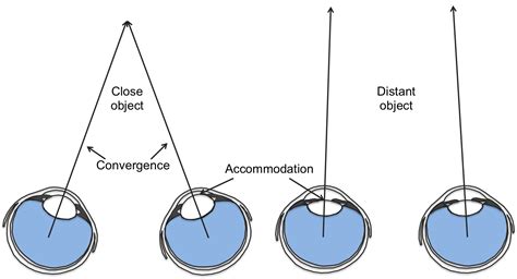 Biology/Electronics-Depth perception and 3D movie - Howthingswork.org