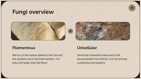 Fungal Biology Master Degree | Google Slides & PPT