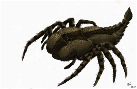 Spider Megarachne sarboniferous Period. by Plioart on DeviantArt in 2020 | Prehistoric animals ...