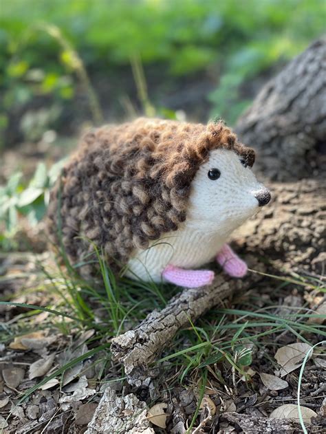 European Hedgehog