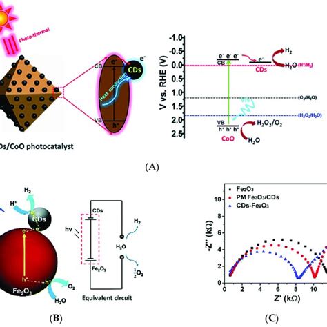 Synthesis of carbon dots by (A) top-down and (B) bottom-up methods;... | Download Scientific Diagram