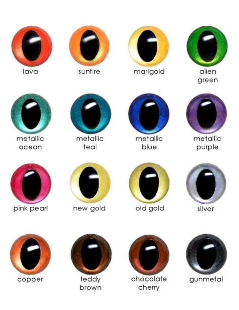 Cat eye color chart - Cat Tales