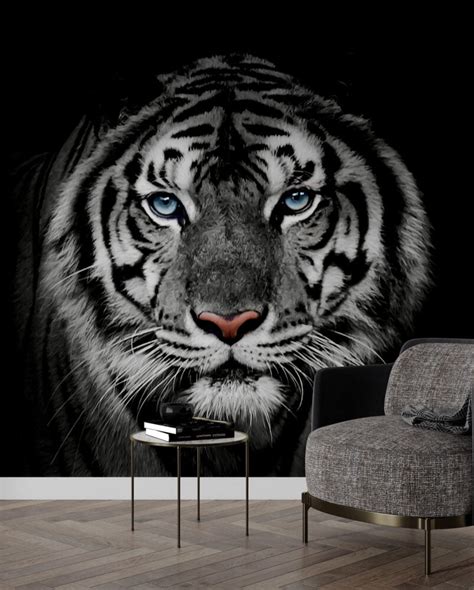 Tiger Wallpaper Mural In 3D Style | Silk Interiors Wallpaper Australia