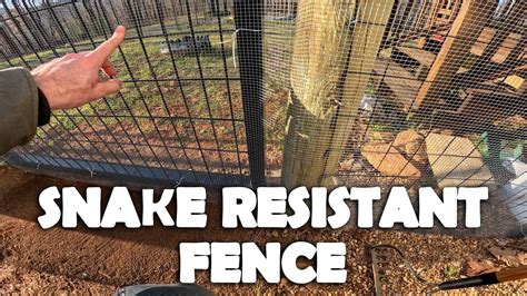 Building a Snake Resistant Fence - YouTube