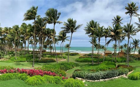 Bahia Beach | Puerto Rico