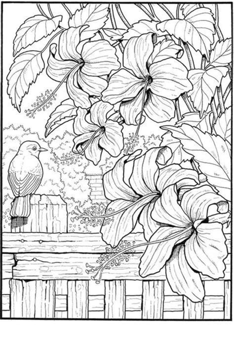 Dibujos de Paisajes para colorear para Adultos - 60 imágenes gratis | Bird coloring pages ...