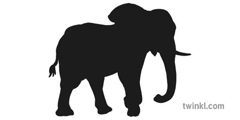 Elephant Silhouette Illustration