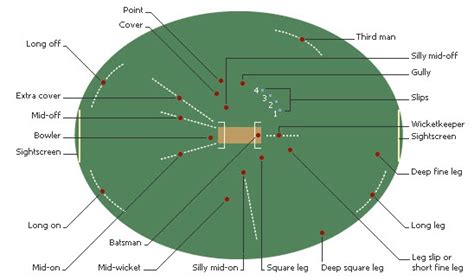 Cricket field, the pitch or infield is a sand rectangular field, the playing field is grass ...