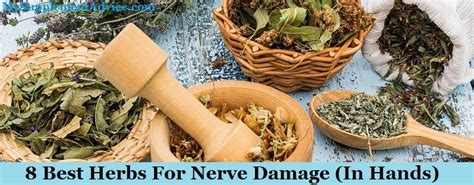 8 Best Herbs For Nerve Damage (In Hands) - Supplementox