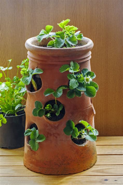 40 DIY Strawberry Planter Ideas for Container Planting