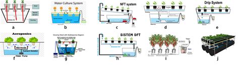 Illustration of the type of Hydroponic System (a) Wick, (b) Water... | Download Scientific Diagram