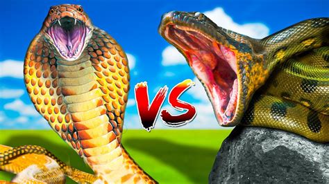 King Cobra vs Anaconda! - YouTube