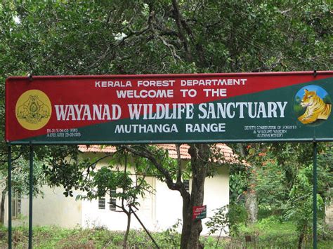 A Guide To Wayanad Wildlife Sanctuary - Nativeplanet