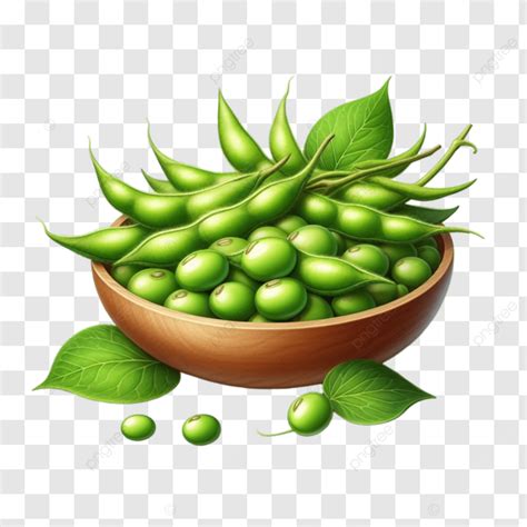 Edamame Japan Food Illustration, Edamame Japan, Food Illustration, Edamame PNG Transparent Image ...