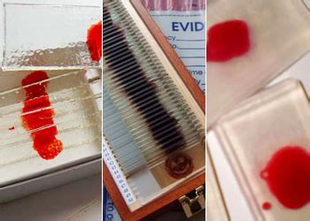 Fandomania » Fandomestic: 5 Killer Dexter-Inspired Blood Slide Crafts