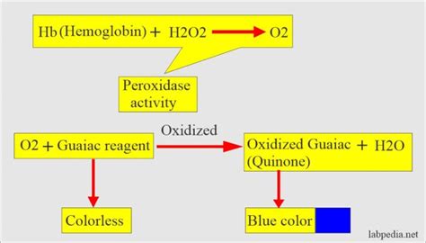 Stool examination:- Part 5 - Stool for Occult Blood, OB (Fecal occult ...