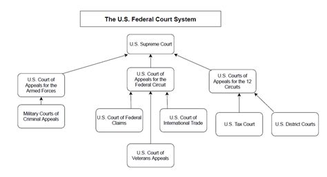 Law-Splainer - Part 2: Structure of the Federal Courts - Firearms Policy Coalition