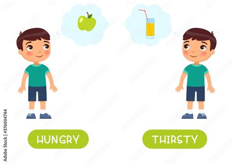 Hungry and thirsty antonyms word card vector template. Opposites concept. Flashcard for english ...