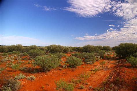 Australia Like Mars? Dirt In Outback May Mimic Red Planet's Soil, Opal ...