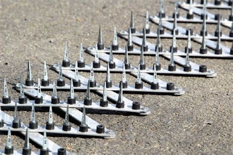 Traffic police stop using metal spikes | The Sunday News