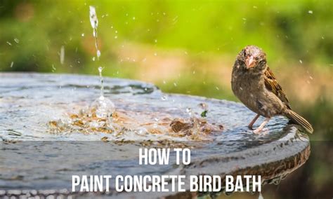 How to Paint Concrete Bird Bath? - 6 Easy Steps Everyone Can Do