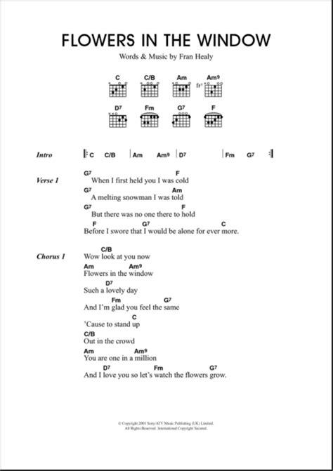 Flowers In The Window - Guitar Chords/Lyrics | zZounds