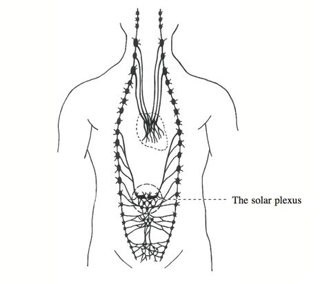 Solar Plexus Diagram