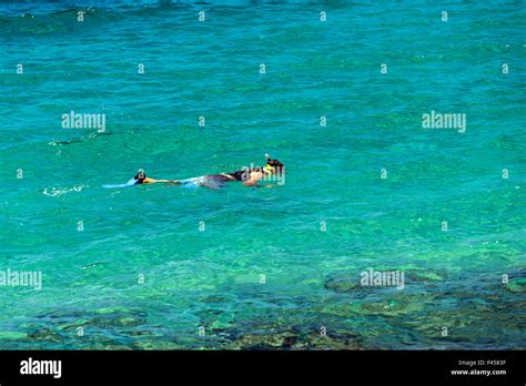 Swimmers snorkeling, Hapuna Beach, Kohala Coast, Hawai'i, USA Stock Photo - Alamy