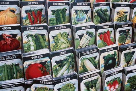 What To Know Before Buying Vegetable and Flower Seeds